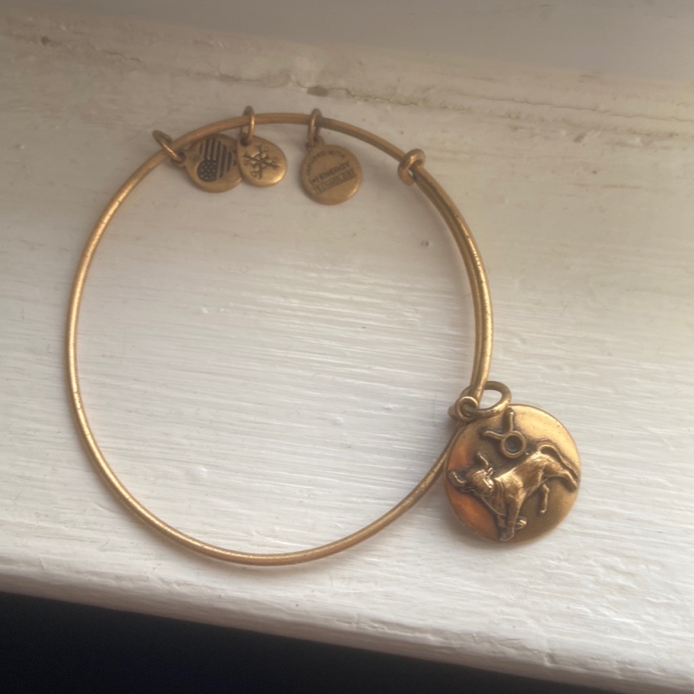 Alex and Ani taurus bracelet